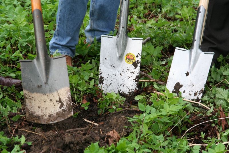 pepiniere-AUVARE-min_work-lawn-flower-tool-green-backyard-1103633-pxhere.com